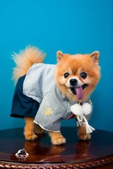 imToken钱包安卓版